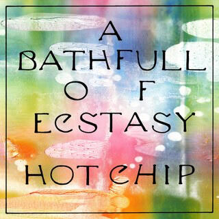 Hot Chip A Bashful of Ecstasy
